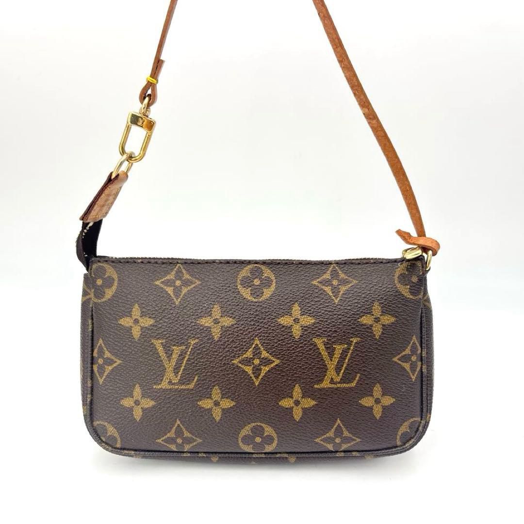 Louis Vuitton Monogram Pochette Accessoires Bag
