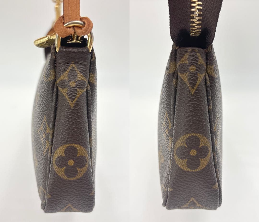 Louis Vuitton Monogram Pochette Accessoires Bag